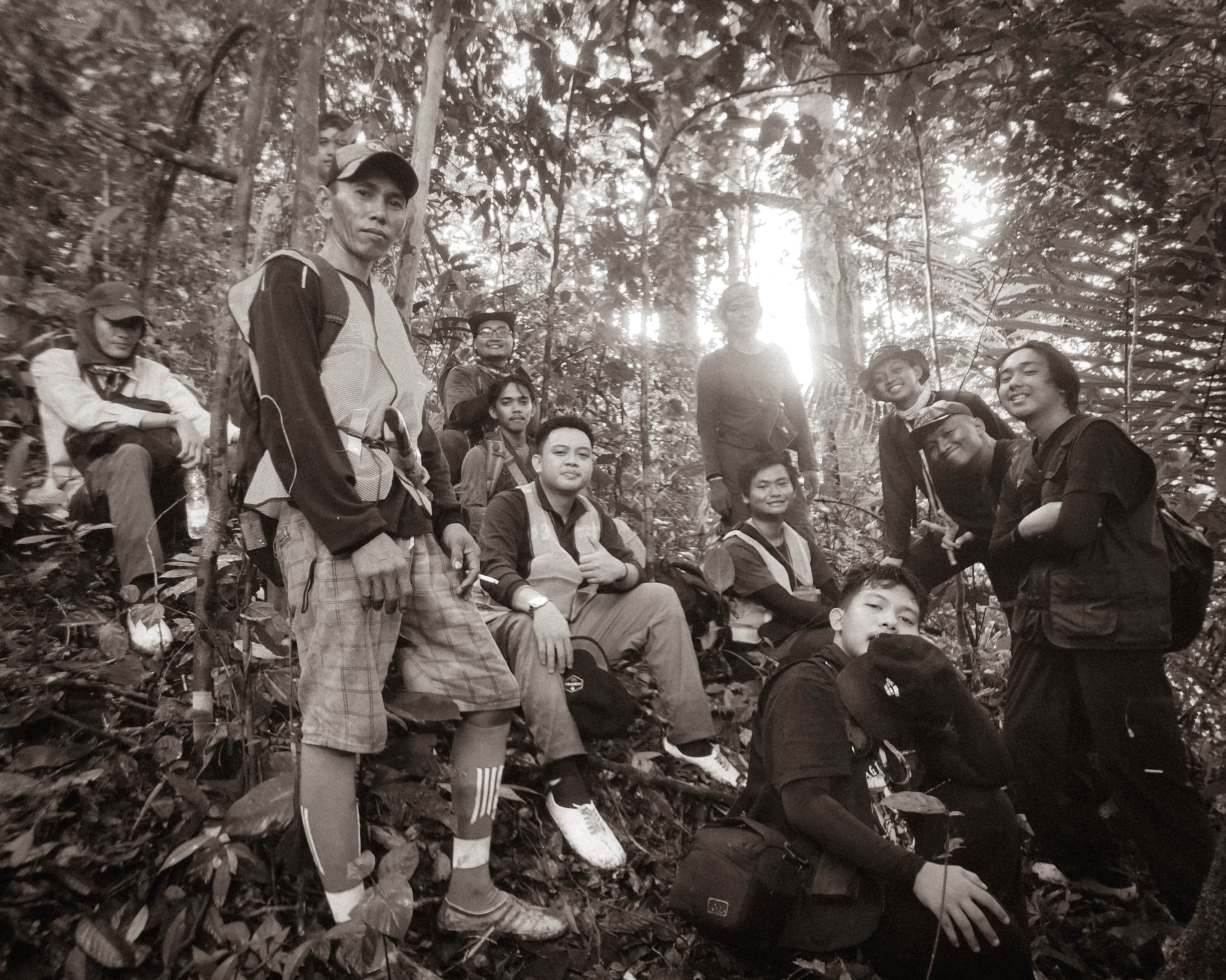 Menjelajah Jantung Borneo: Mengungkap Mozaik Keanekaragaman Hayati Kalimantan