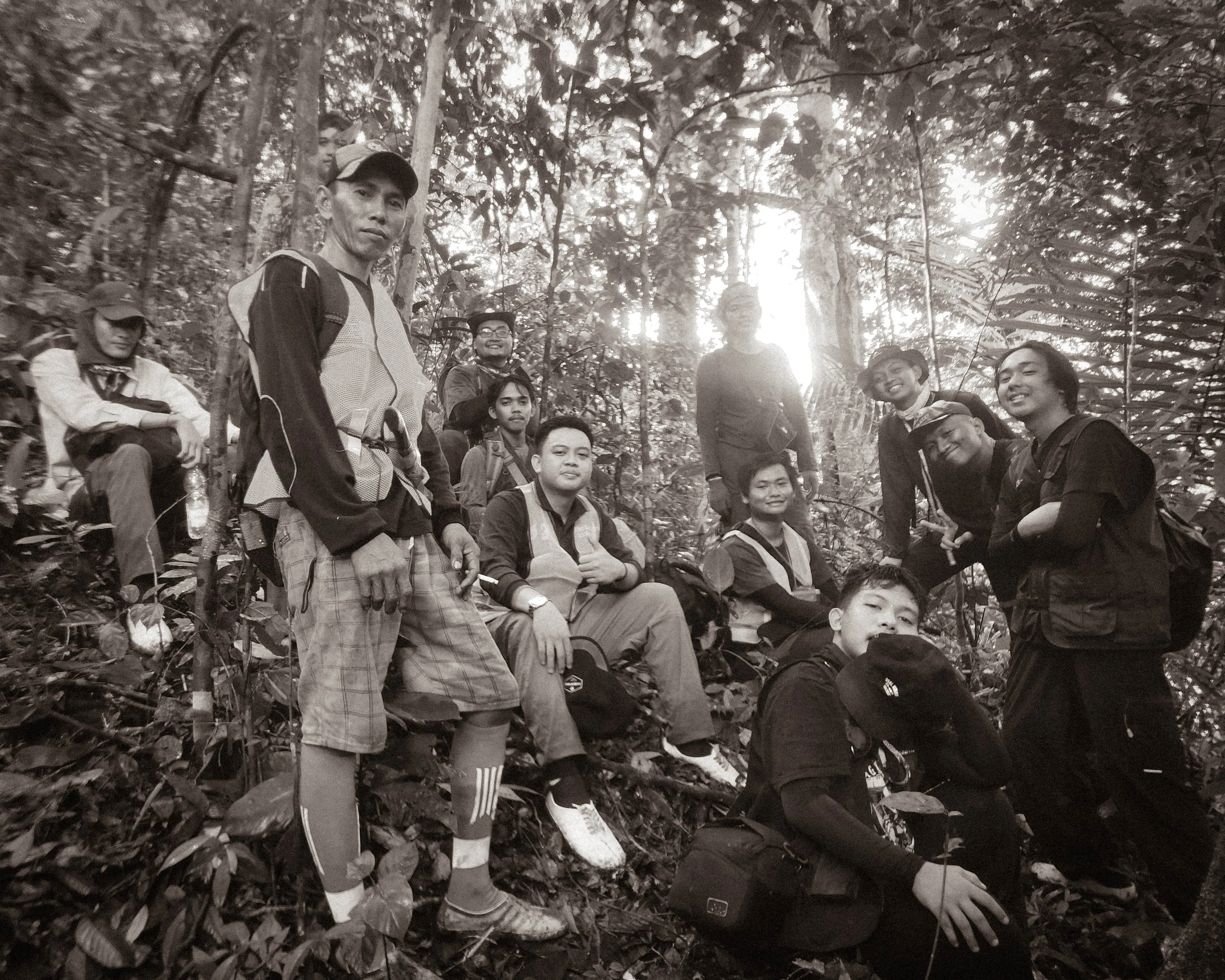 Menjelajah Jantung Borneo: Mengungkap Mozaik Keanekaragaman Hayati Kalimantan