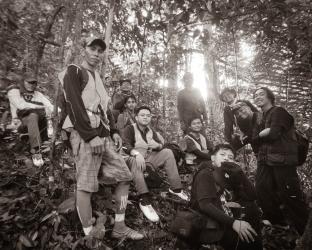 Menjelajah Jantung Borneo: Mengungkap Mozaik Keanekaragaman Hayati Kalimantan