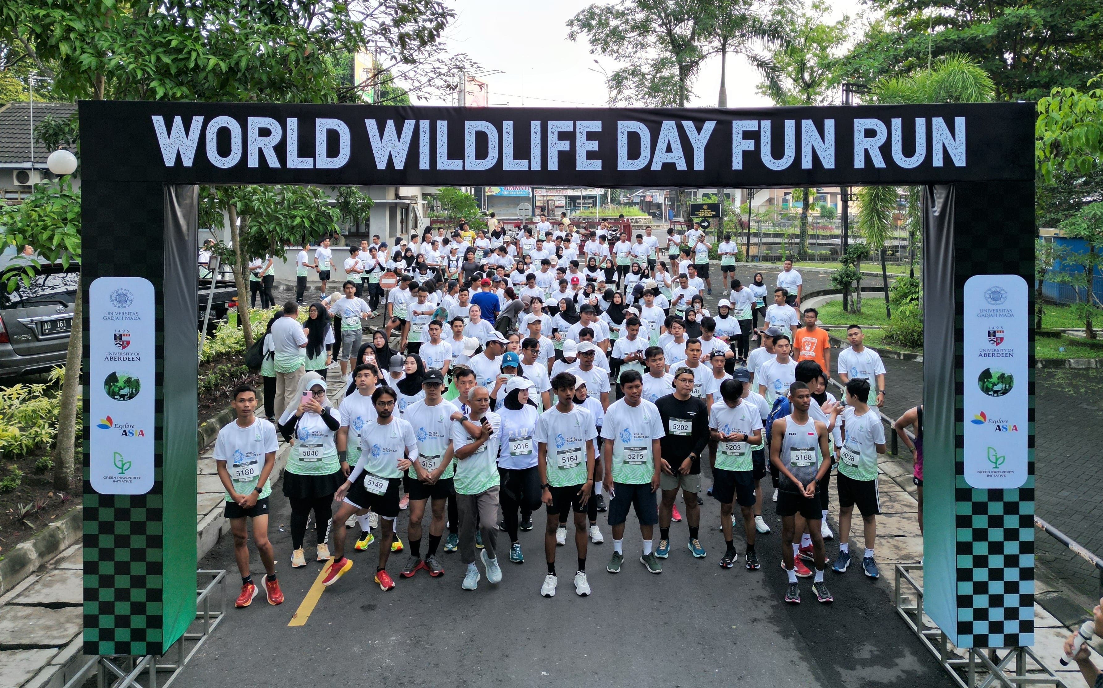 fun run
